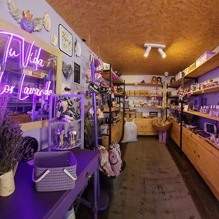 Vicuña Lavanda Del Valle Bed & Breakfast エクステリア 写真