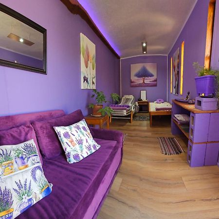 Vicuña Lavanda Del Valle Bed & Breakfast エクステリア 写真