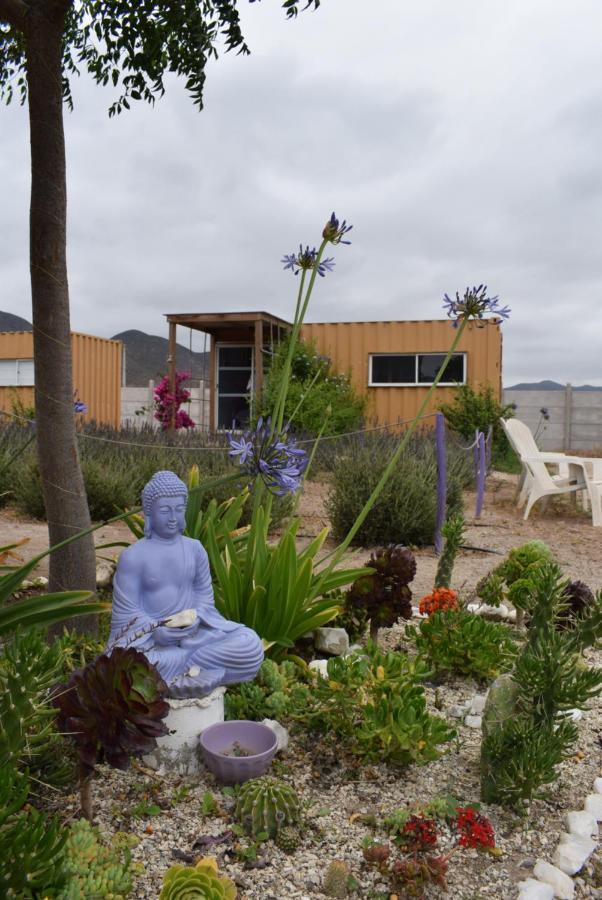 Vicuña Lavanda Del Valle Bed & Breakfast エクステリア 写真