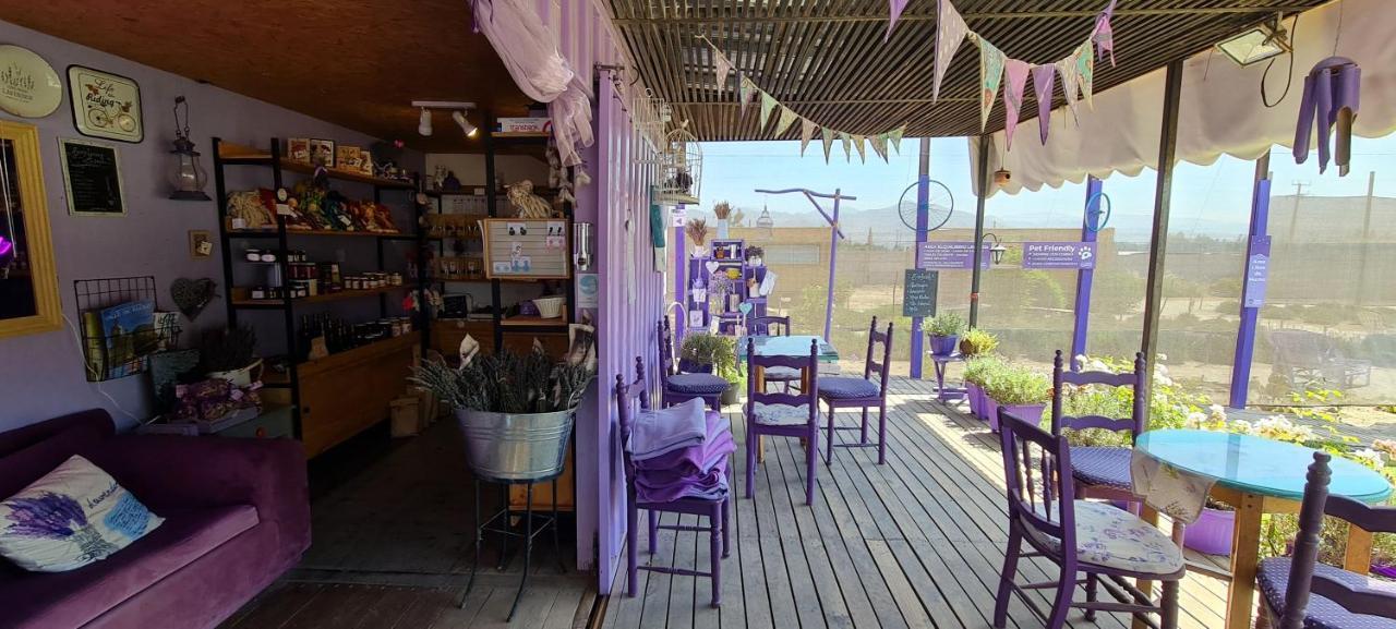 Vicuña Lavanda Del Valle Bed & Breakfast エクステリア 写真