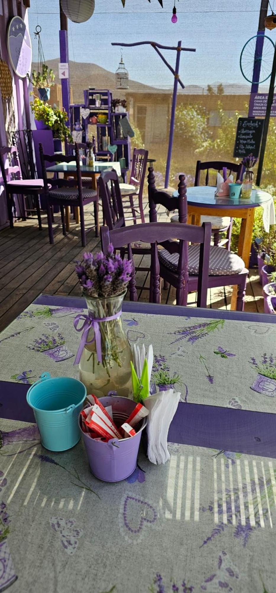 Vicuña Lavanda Del Valle Bed & Breakfast エクステリア 写真