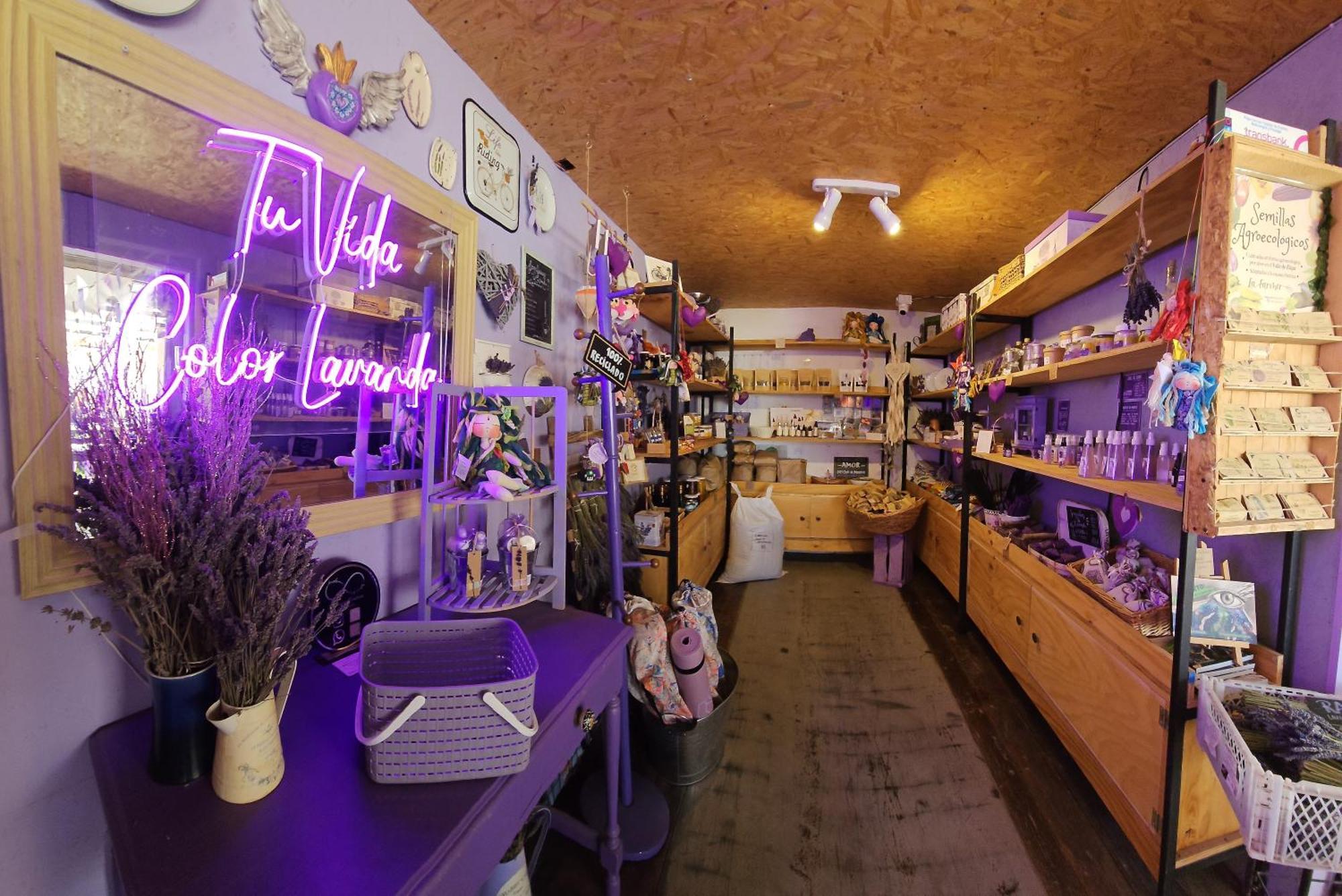 Vicuña Lavanda Del Valle Bed & Breakfast エクステリア 写真