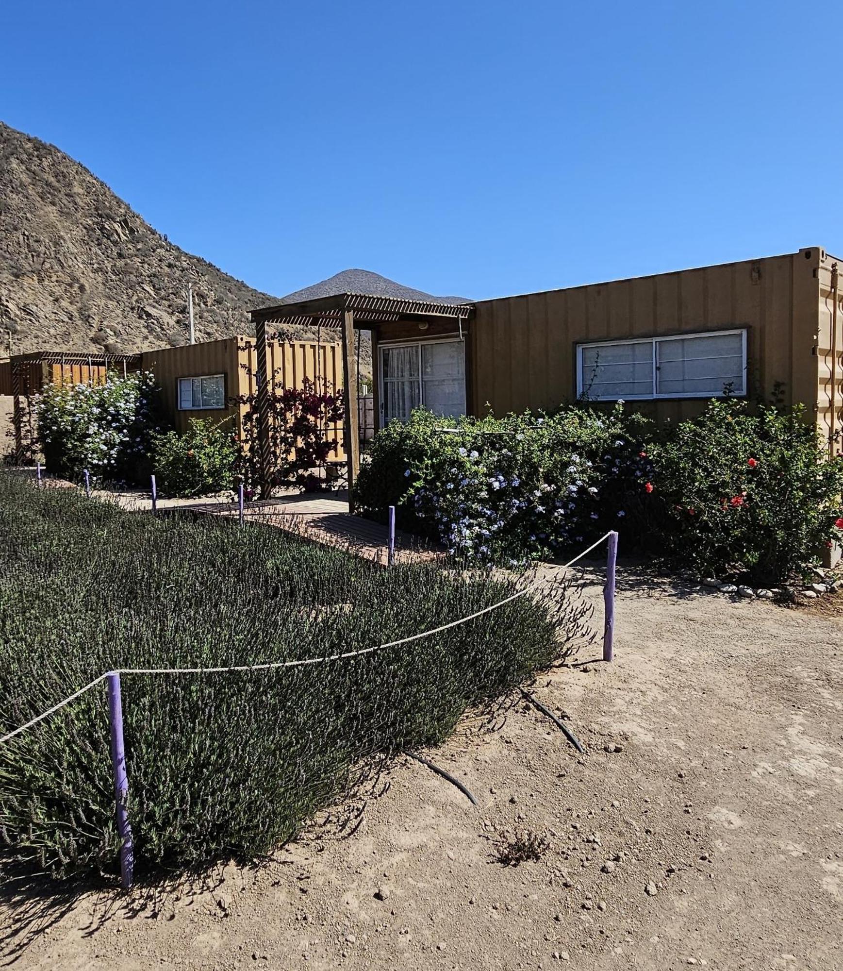 Vicuña Lavanda Del Valle Bed & Breakfast エクステリア 写真