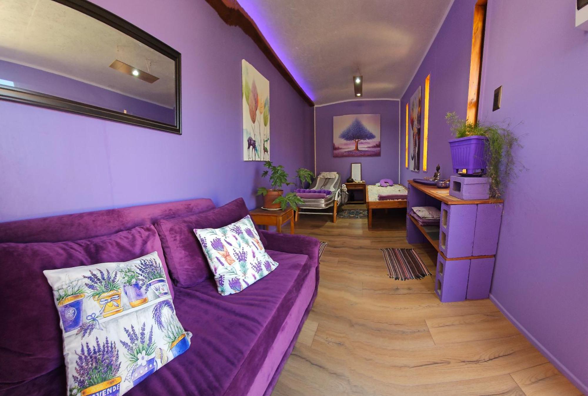 Vicuña Lavanda Del Valle Bed & Breakfast エクステリア 写真