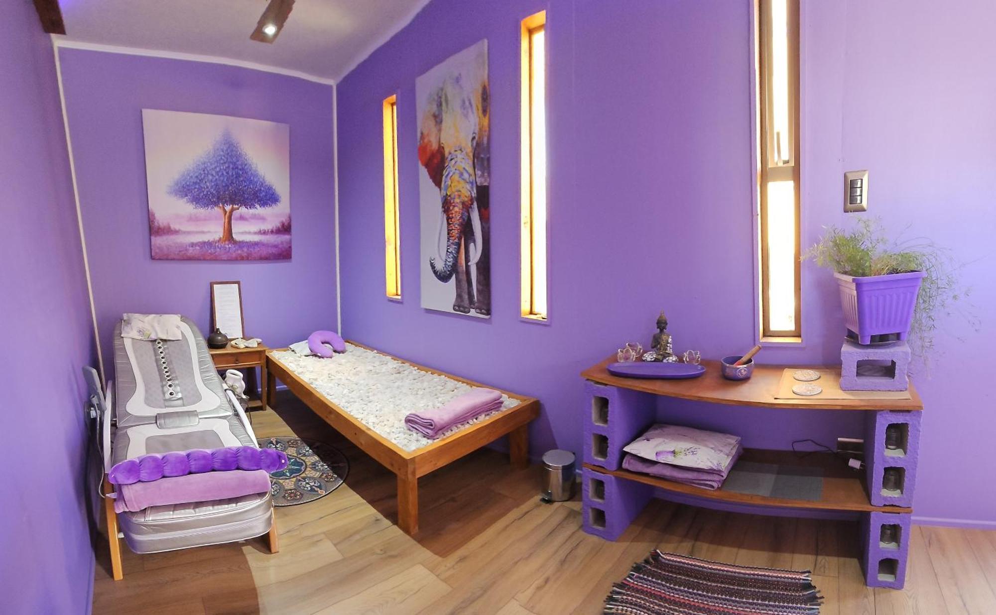 Vicuña Lavanda Del Valle Bed & Breakfast エクステリア 写真